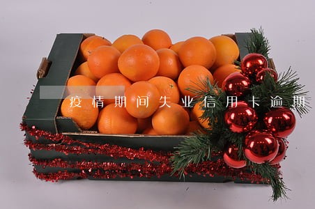 疫情期间失业信用卡逾期 疫情期间失业信用卡逾期