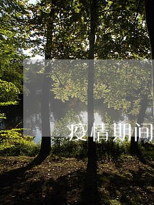 疫情期间好多逾期的 疫情期间好多逾期的