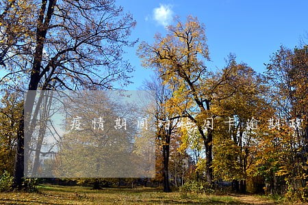 疫情期间对信用卡逾期政策 疫情期间对信用卡逾期政策