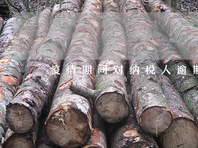 疫情期间对纳税人逾期申报 疫情期间对纳税人逾期申报