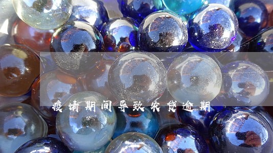 疫情期间导致农贷逾期 疫情期间导致农贷逾期