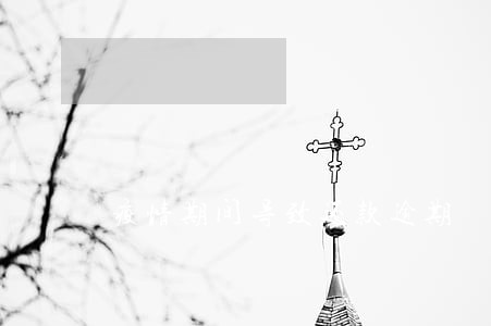 疫情期间导致还款逾期