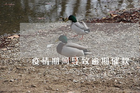 疫情期间导致逾期催款 疫情期间导致逾期催款