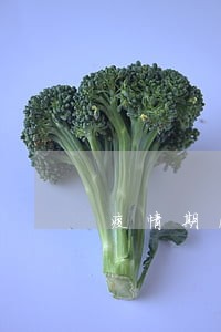 疫情期间小赢卡贷逾期 疫情期间小赢卡贷逾期