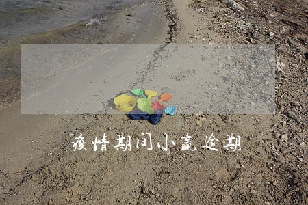 疫情期间小赢逾期 疫情期间小赢逾期