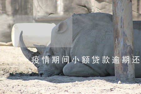 疫情期间小额贷款逾期还不上 疫情期间小额贷款逾期还不上