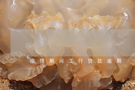 疫情期间工行贷款逾期 疫情期间工行贷款逾期
