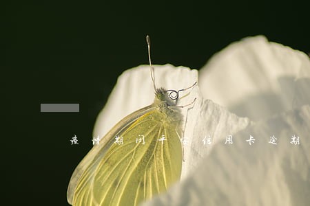 疫情期间平安信用卡逾期新规定