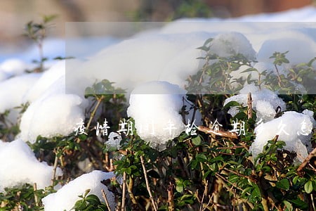 疫情期间年检逾期多久怎么处罚 疫情期间年检逾期多久怎么处罚