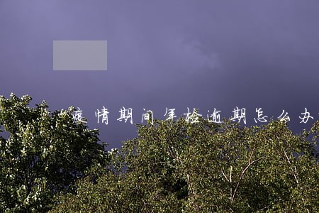 疫情期间年检逾期怎么办
