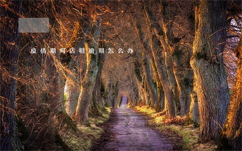 疫情期间店租逾期怎么办 疫情期间店租逾期怎么办