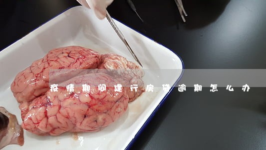 疫情期间建行房贷逾期怎么办 疫情期间建行房贷逾期怎么办