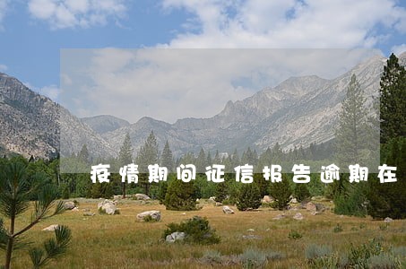 疫情期间征信报告逾期在哪儿投诉 疫情期间征信报告逾期在哪儿投诉