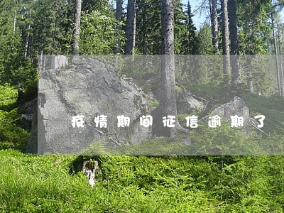 疫情期间征信逾期了 疫情期间征信逾期了