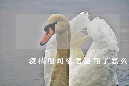 疫情期间征信逾期了怎么办 疫情期间征信逾期了怎么办