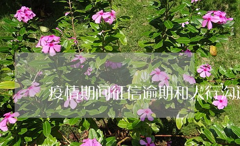 疫情期间征信逾期和人行沟通 疫情期间征信逾期和人行沟通