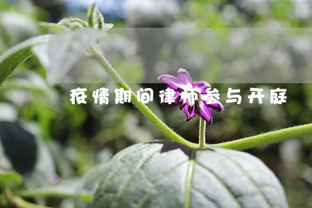 疫情期间律师参与开庭 疫情期间律师参与开庭