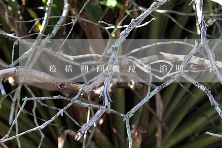 疫情期间微粒贷逾期三个月 疫情期间微粒贷逾期三个月