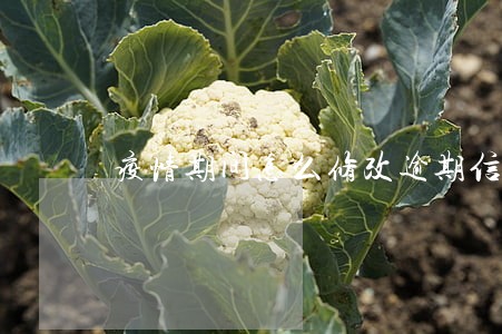 疫情期间怎么修改逾期信息 疫情期间怎么修改逾期信息