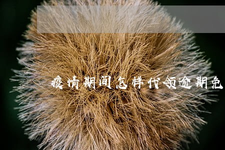 疫情期间怎样代领逾期免检检验标 疫情期间怎样代领逾期免检检验标