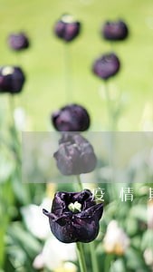 疫情期间我爱租机逾期 疫情期间我爱租机逾期