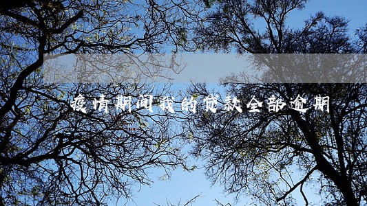 疫情期间我的贷款全部逾期 疫情期间我的贷款全部逾期