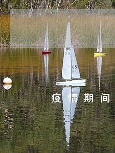 疫情期间我缺钱信用卡逾期 疫情期间我缺钱信用卡逾期