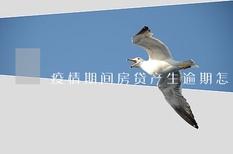 疫情期间房贷产生逾期怎么办 疫情期间房贷产生逾期怎么办