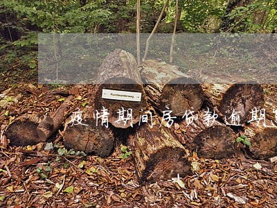 疫情期间房贷款逾期怎么办