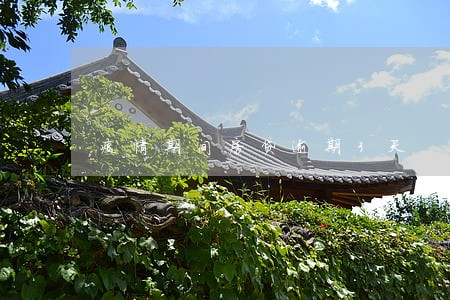 疫情期间房贷逾期3天 疫情期间房贷逾期3天