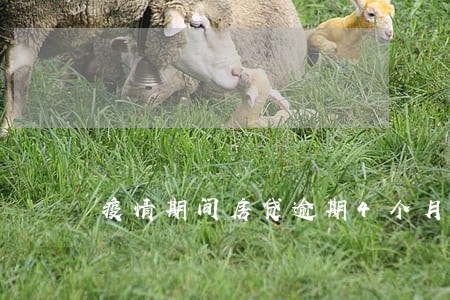 疫情期间房贷逾期4个月怎么办 疫情期间房贷逾期4个月怎么办