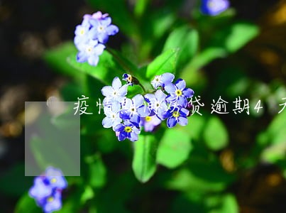 疫情期间房贷逾期4天 疫情期间房贷逾期4天