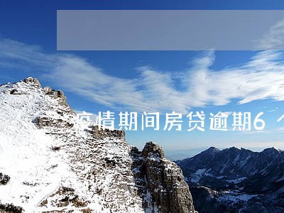 疫情期间房贷逾期6个月 疫情期间房贷逾期6个月