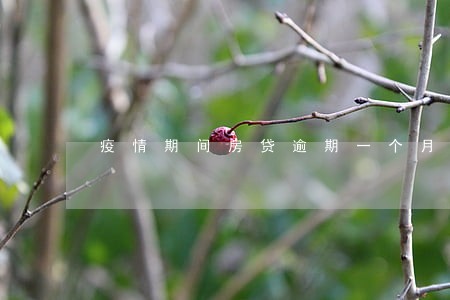 疫情期间房贷逾期一个月怎么办 疫情期间房贷逾期一个月怎么办