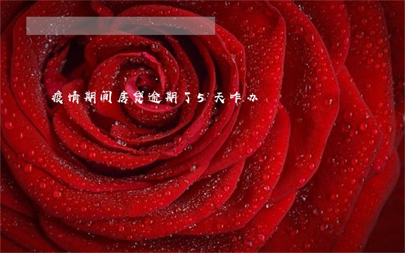 疫情期间房贷逾期了5天咋办 疫情期间房贷逾期了5天咋办