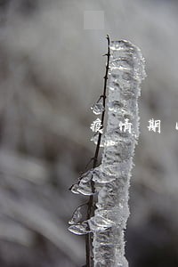 疫情期间房贷逾期了一天 疫情期间房贷逾期了一天