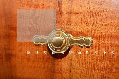 疫情期间房贷逾期多不多 疫情期间房贷逾期多不多