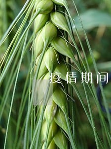 疫情期间房贷逾期多严重 疫情期间房贷逾期多严重