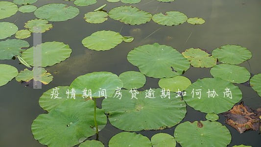 疫情期间房贷逾期如何协商 疫情期间房贷逾期如何协商