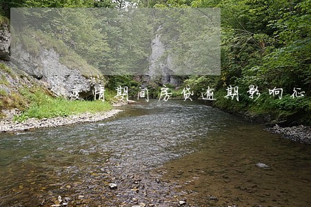 疫情期间房贷逾期影响征信吗 疫情期间房贷逾期影响征信吗