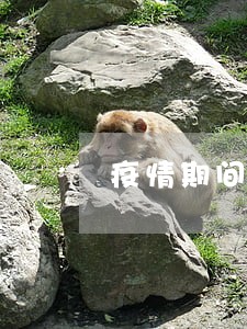 疫情期间房贷逾期征信能消除 疫情期间房贷逾期征信能消除