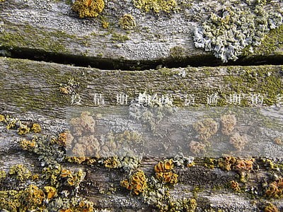 疫情期间房贷逾期的多吗 疫情期间房贷逾期的多吗