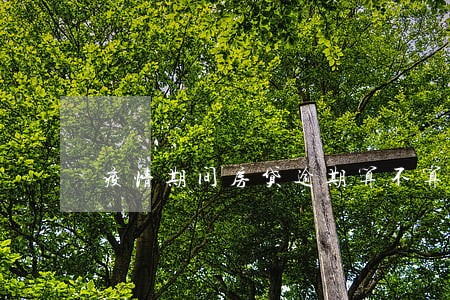 疫情期间房贷逾期算不算征信