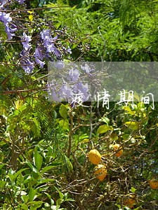 疫情期间房贷逾期计入征信吗 疫情期间房贷逾期计入征信吗