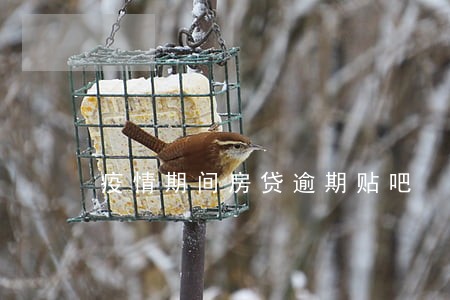 疫情期间房贷逾期贴吧 疫情期间房贷逾期贴吧