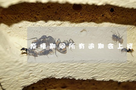 疫情期间所有逾期会上征信吗 疫情期间所有逾期会上征信吗