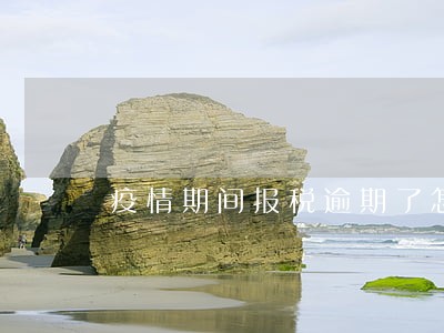 疫情期间报税逾期了怎么办 疫情期间报税逾期了怎么办