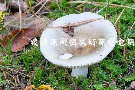 疫情期间招联好期贷逾期 疫情期间招联好期贷逾期
