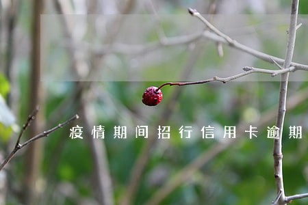 疫情期间招行信用卡逾期新规定