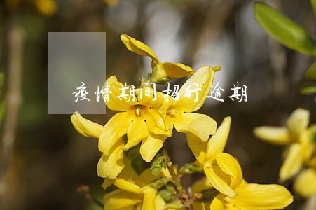 疫情期间招行逾期 疫情期间招行逾期